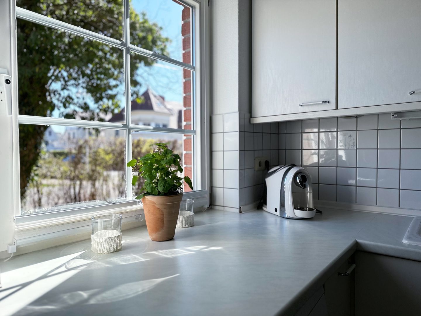  Strandgut Fischland-Darss-Zingst - 