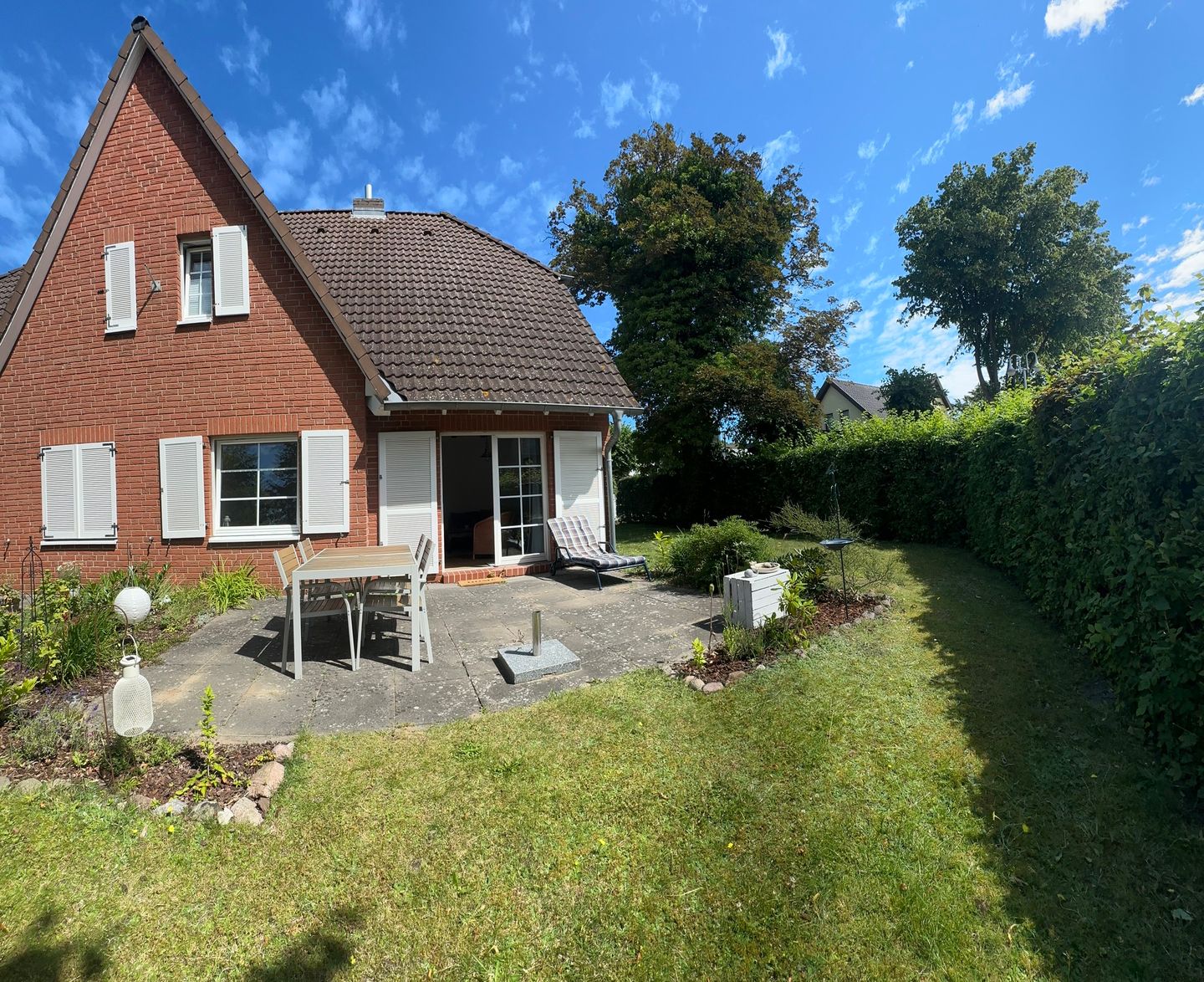  Strandgut Fischland-Darss-Zingst - 