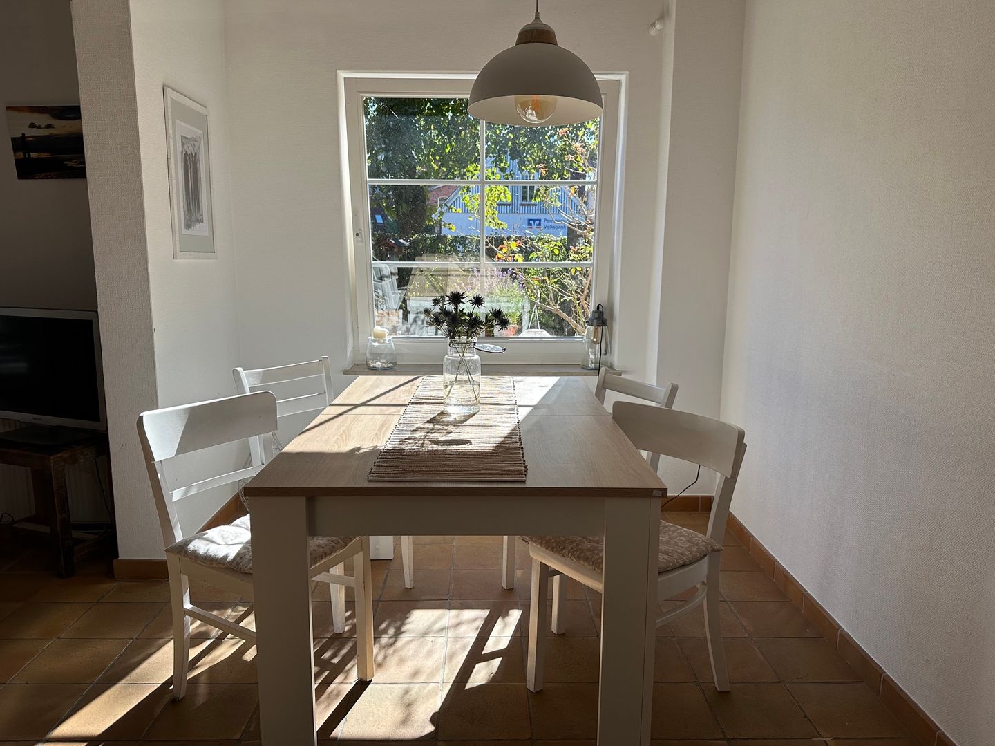  Strandgut Fischland-Darss-Zingst - 