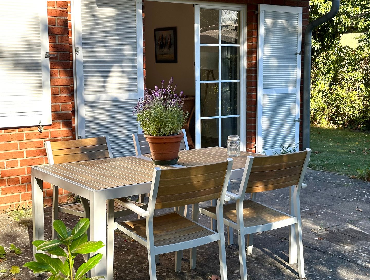  Strandgut Fischland-Darss-Zingst - 