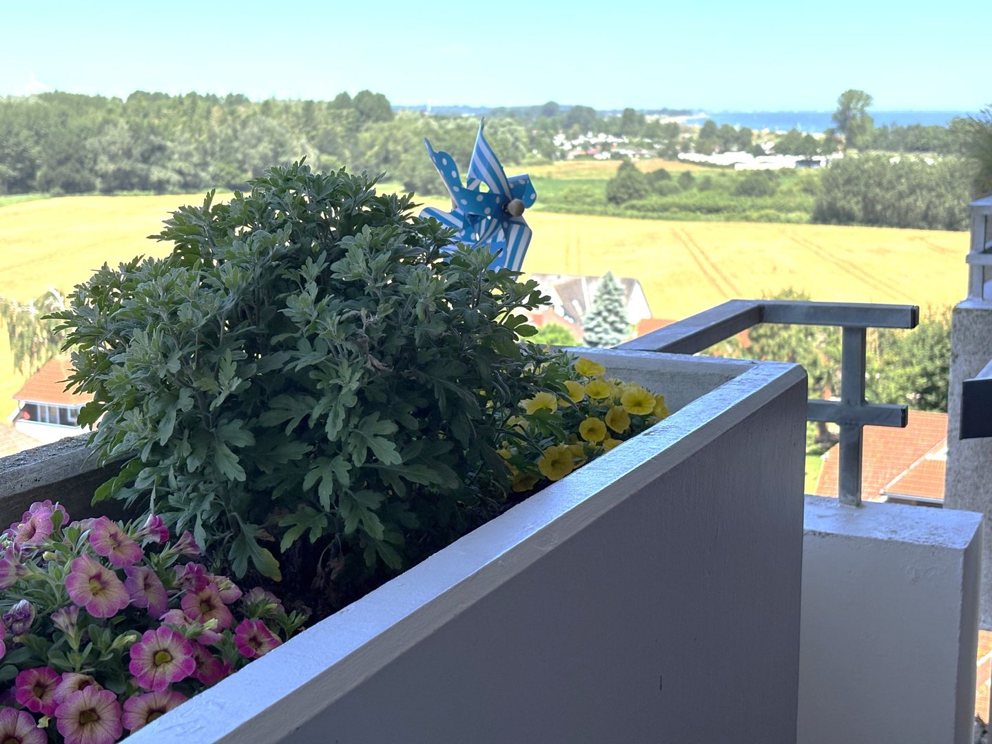  Berolina 701 - Seabreeze Dahme - Meerblick