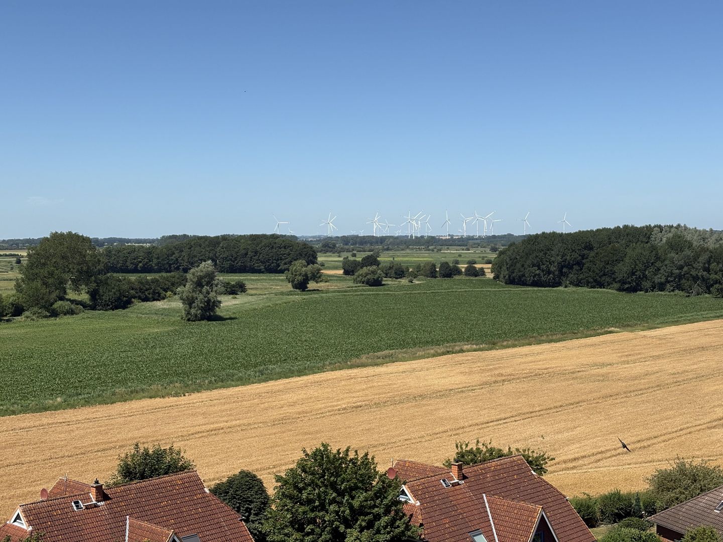  Berolina 701 - Seabreeze Dahme - Gartenblick