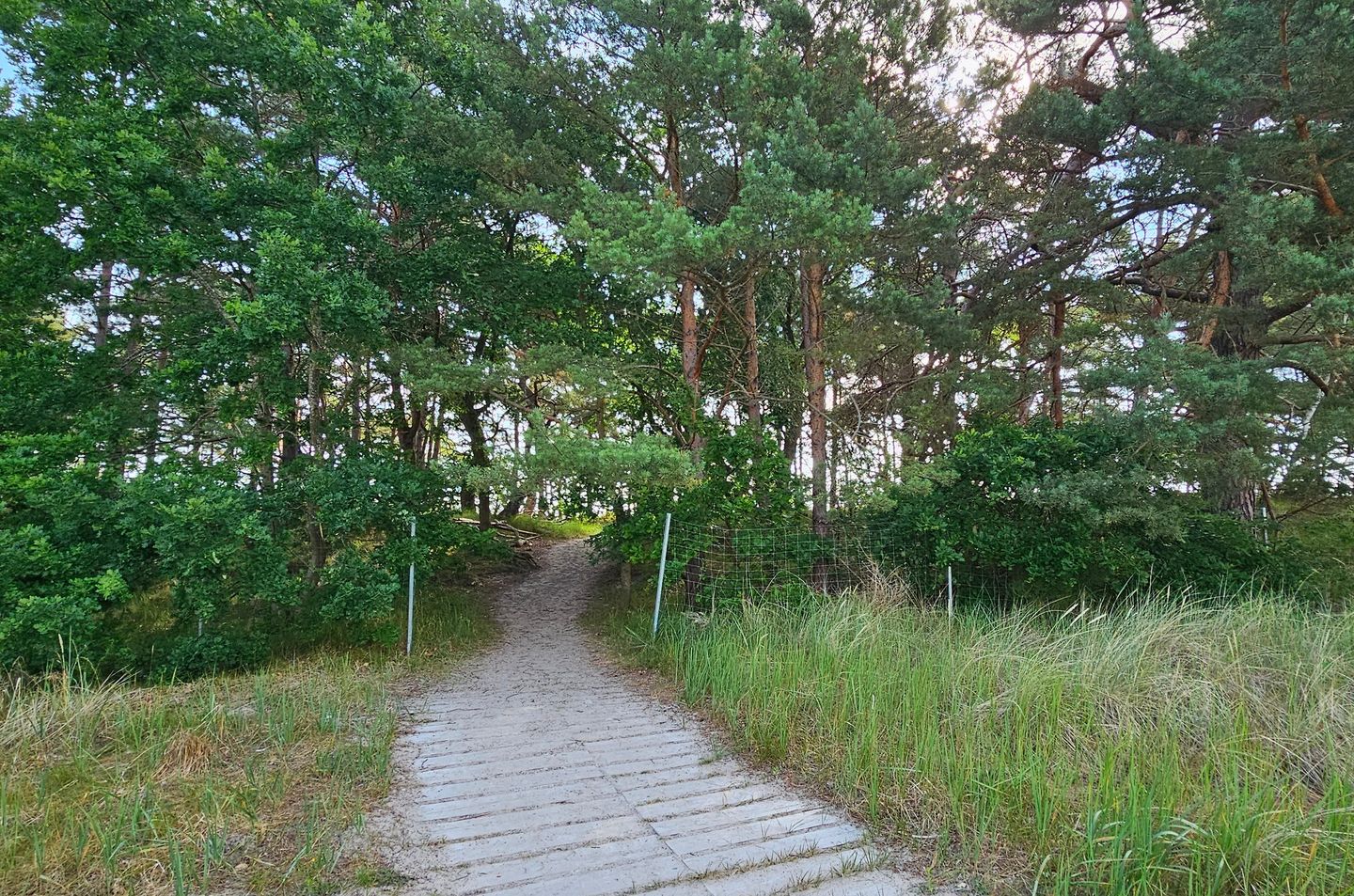  Haus Stubnitz Binz-Prora Rügen - 