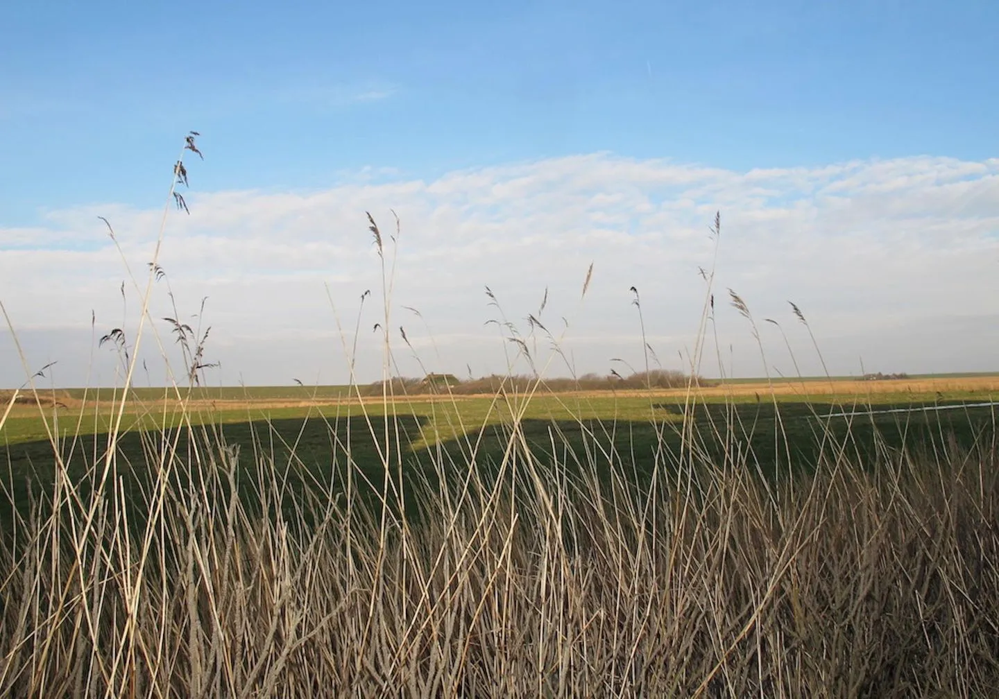 Halligland Aussicht Appartement Halligland Aussicht SPO Ording - 