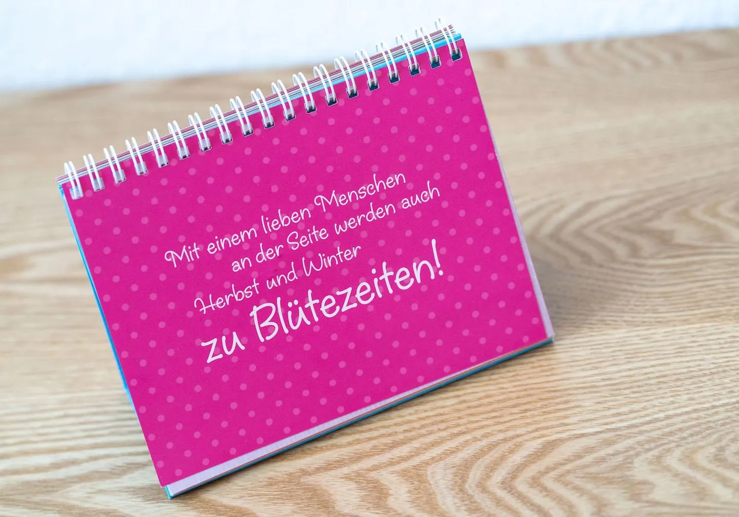 Apartmenthaus Weitblick Appartement 54 Grad Weitblick SPO Ording - 