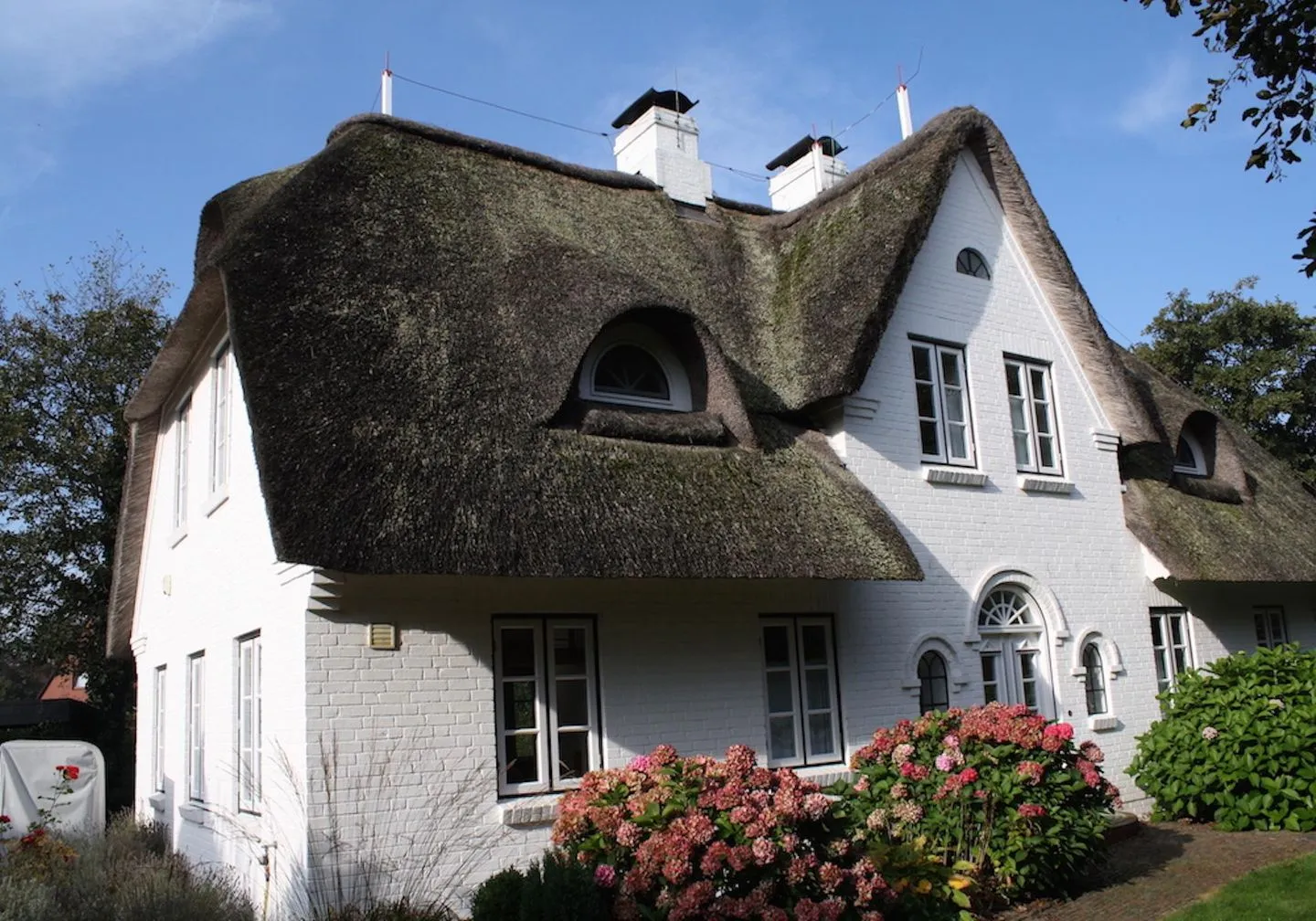 Nordlicht Reetdachhaus Nordlicht LUV SPO Boehl - 