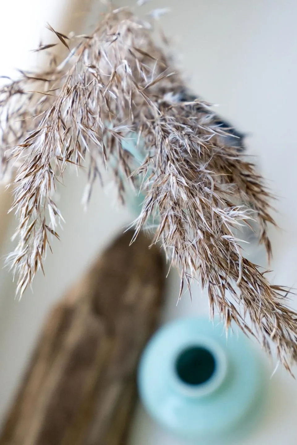 Reetdachhaus Strandkoje Reetdachhaus Strandkoje SPO Umland - 