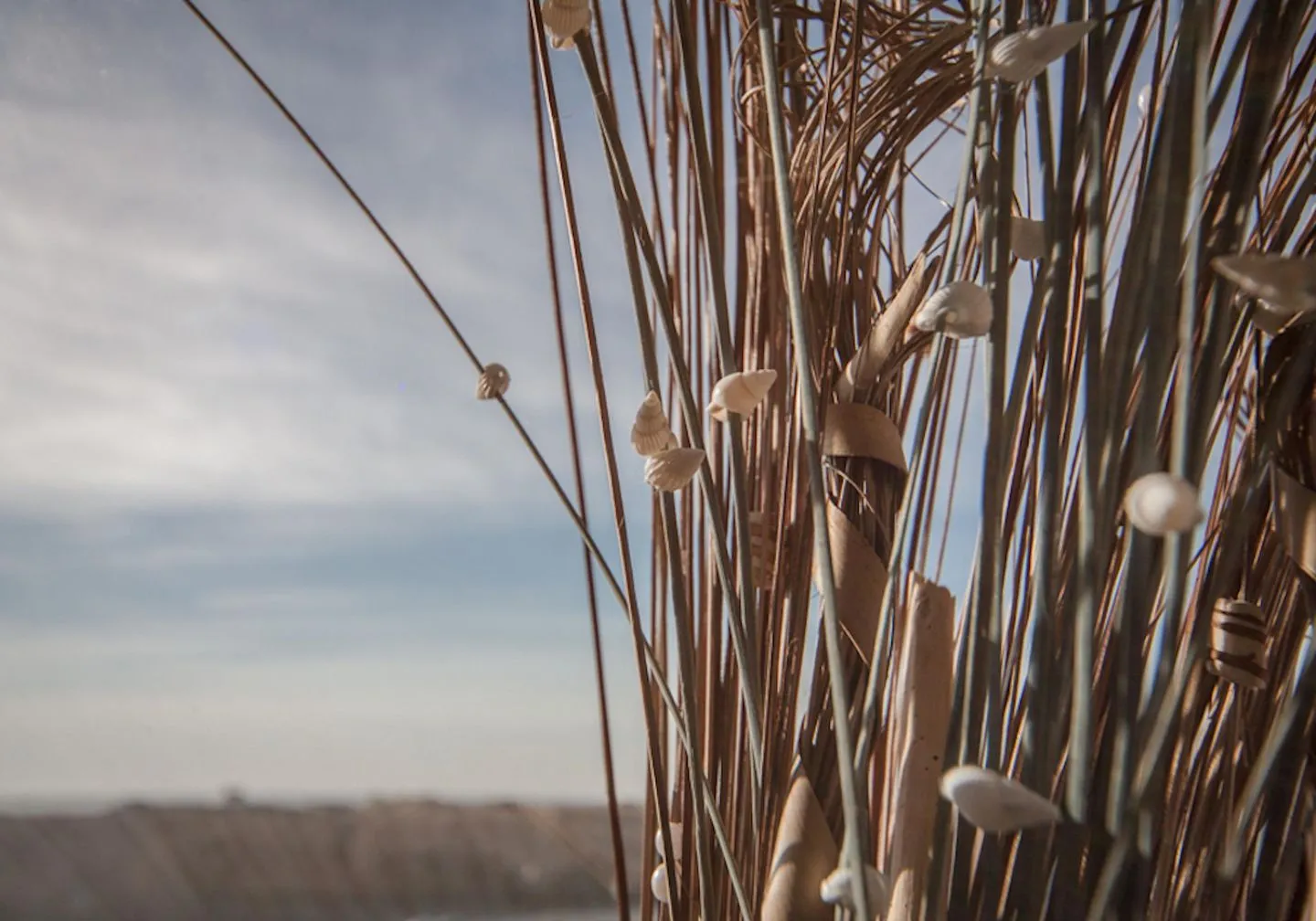 Apartmenthaus Deichbude Apartmenthaus Deichbude Deichbude - 1 SPO Ording - 