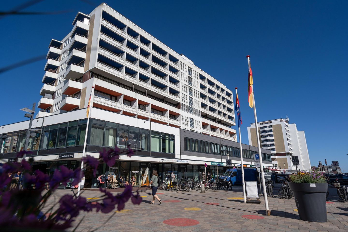  Küstenmuschel Westerland Küstenmuschel - Hauptansicht