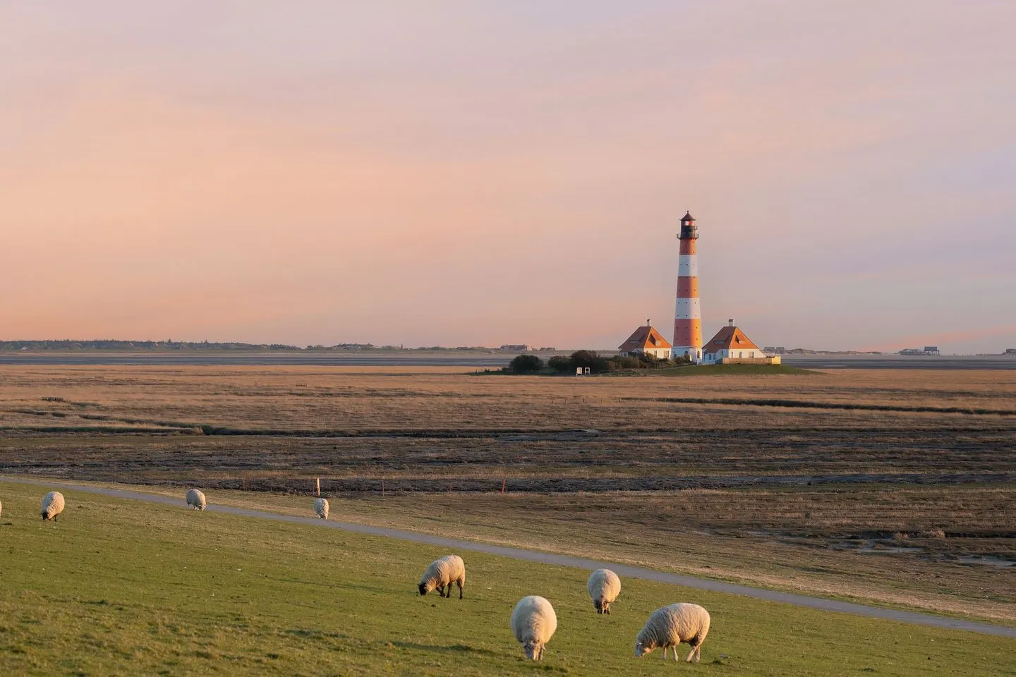 Alte Schule Westerhever Poppenbüll SPO Umland - 