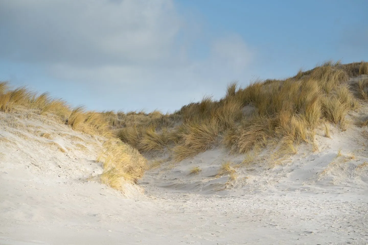 Alte Schule Westerhever Vollerwiek SPO Umland - 