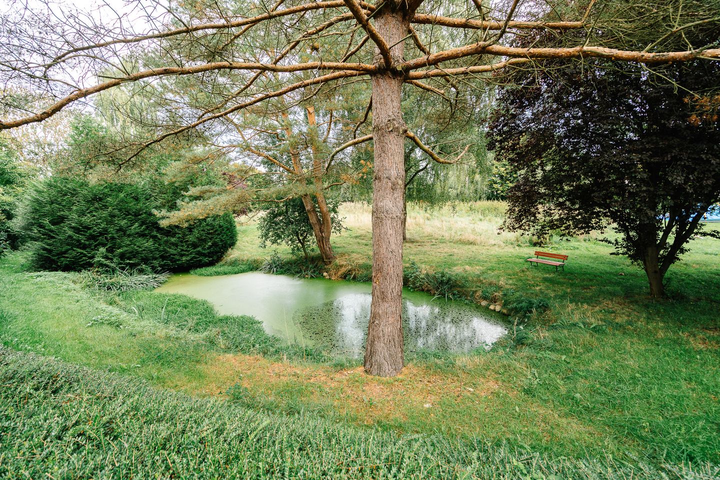  Kleine Auszeit Ratekau - Gartenblick