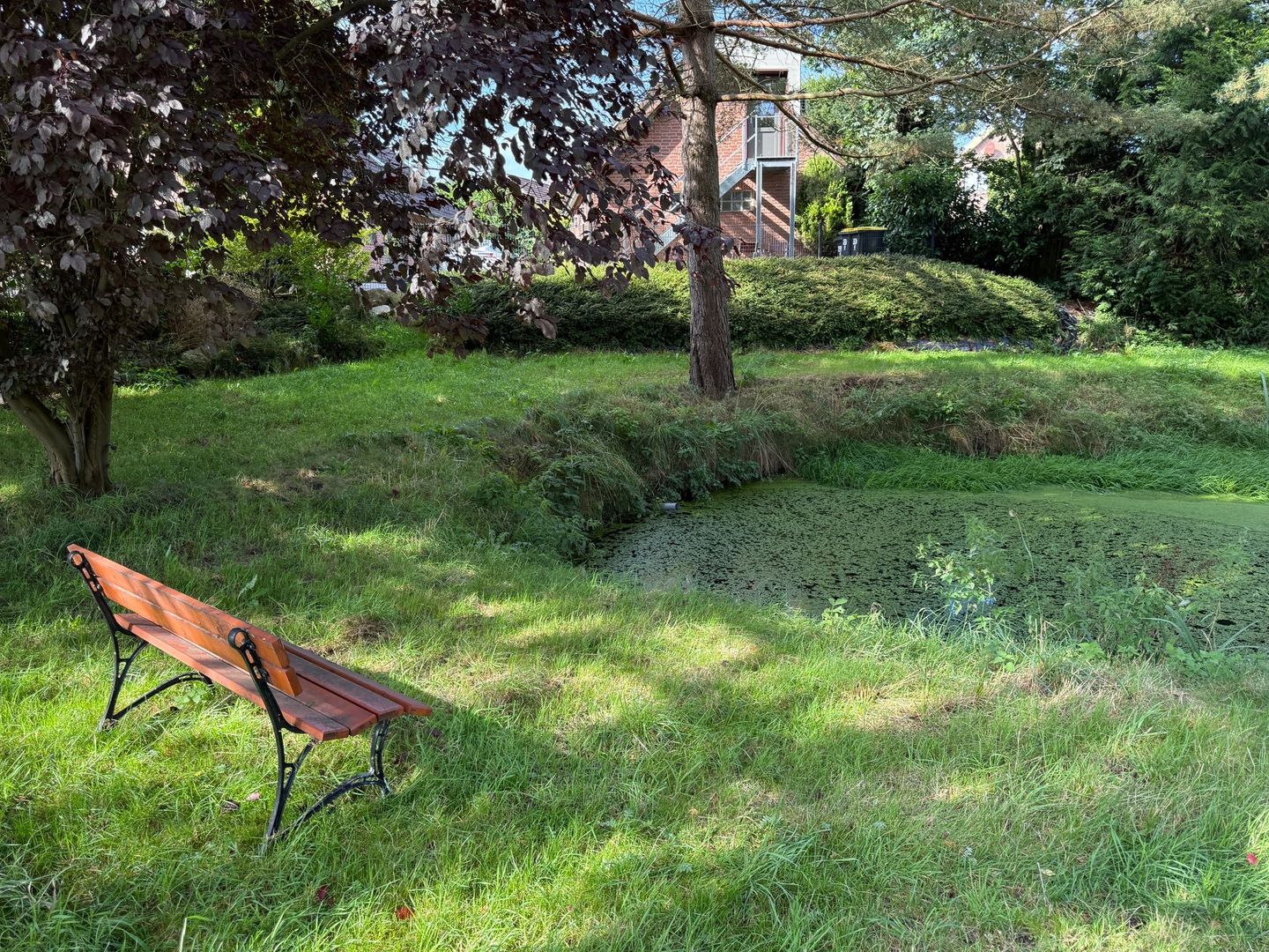  Kleine Auszeit Ratekau - Garten