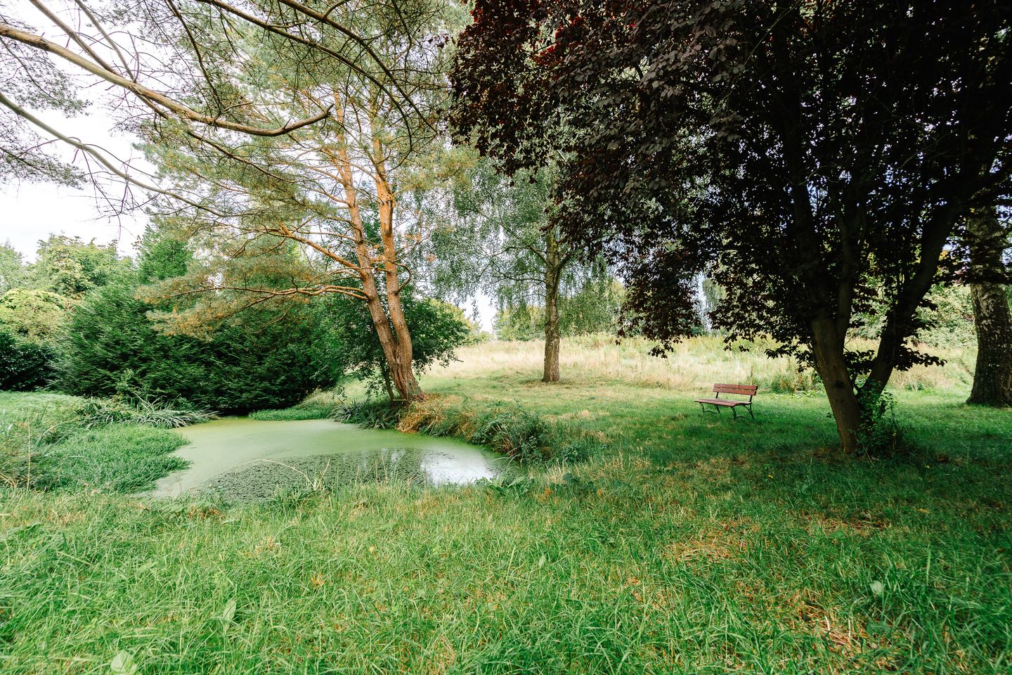  Kleine Auszeit Ratekau - Garten