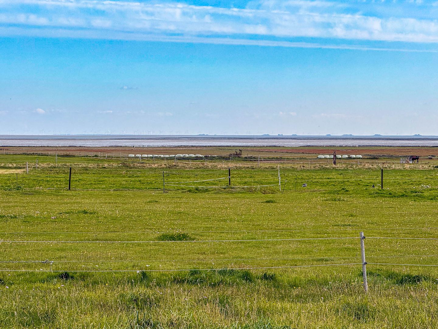 Witjhüs Whg. 1A Amrum - 