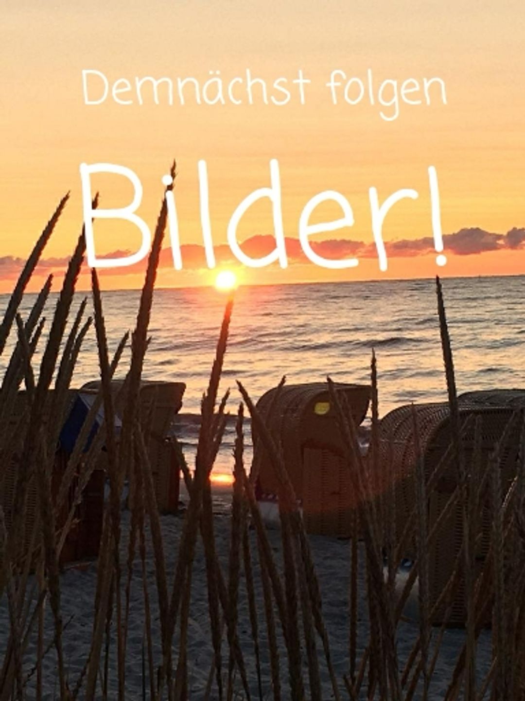  Berolina 110 - Ostseemuschel Dahme - 