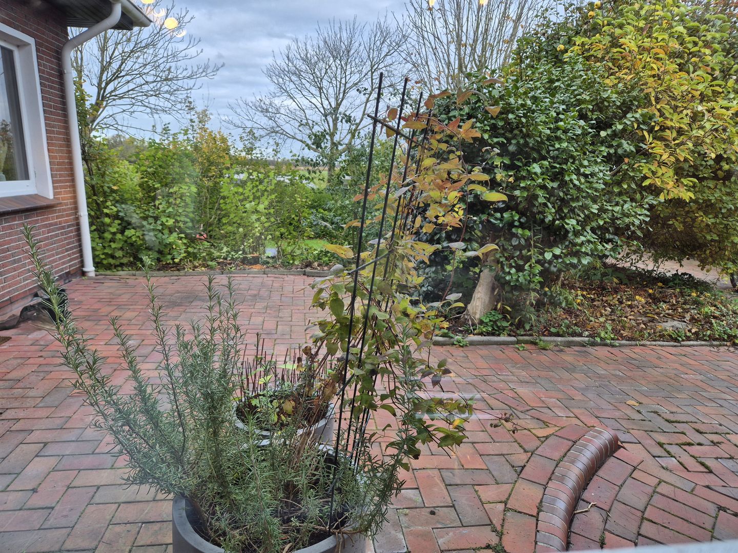  Ferienhaus Friesennest Norden - 