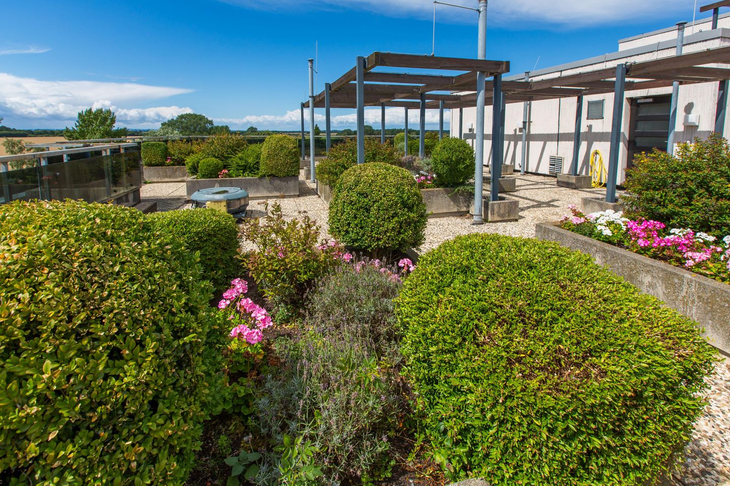  Berolina 801 - Meerestraum Dahme - Terrasse