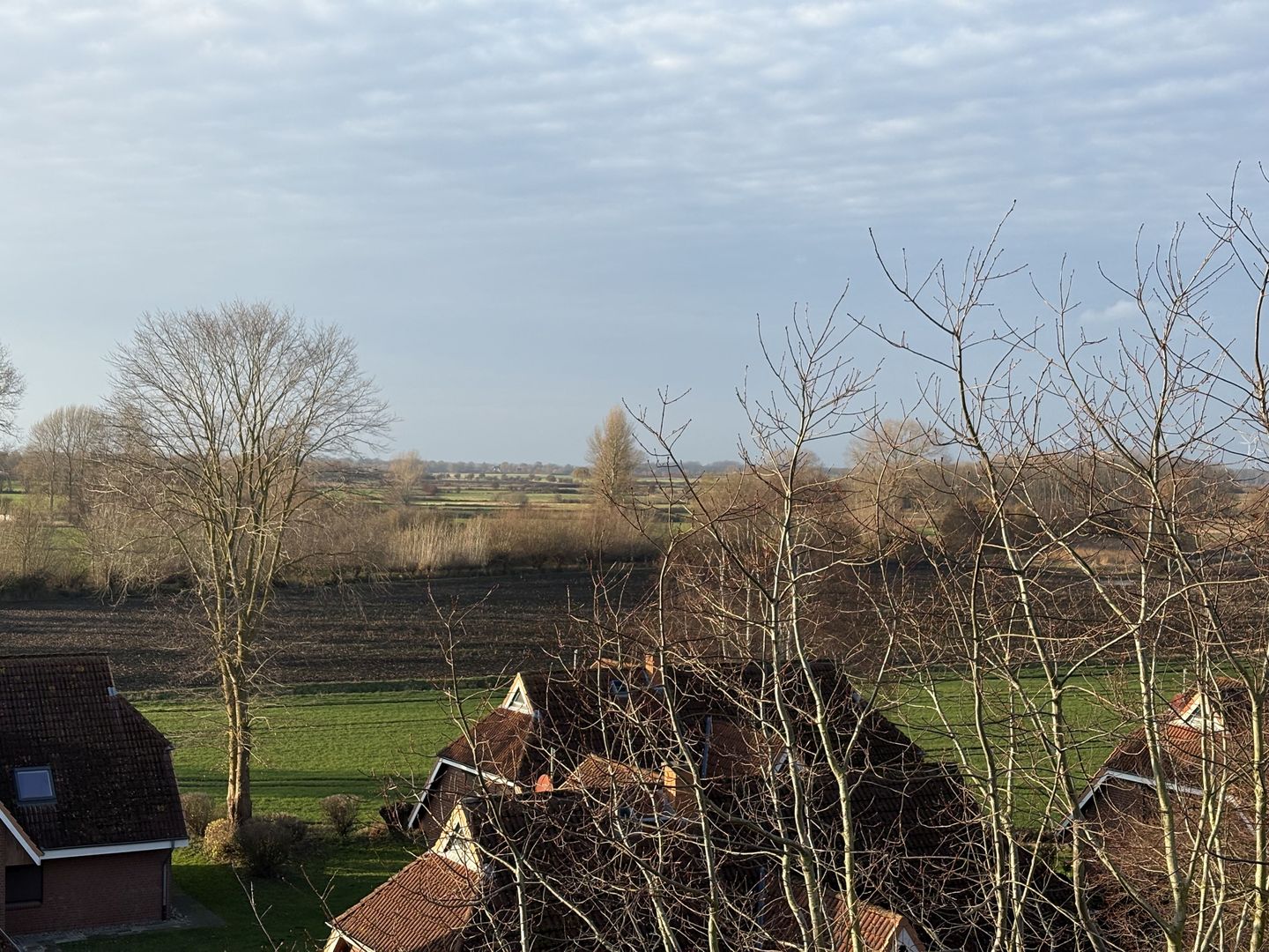  Berolina 401 - MOIN Dahme - Gartenblick