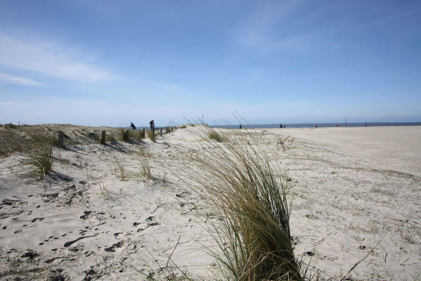  Ferienhaus Mondmuschel Norddeich - 