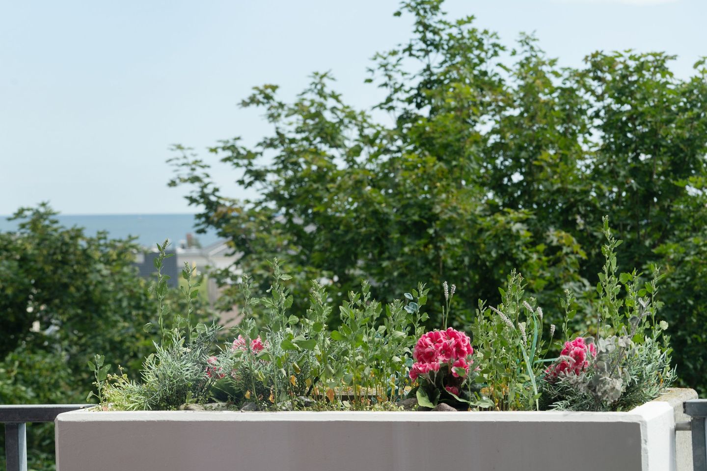  Berolina 314 - Meeresflüstern Dahme - Meerblick