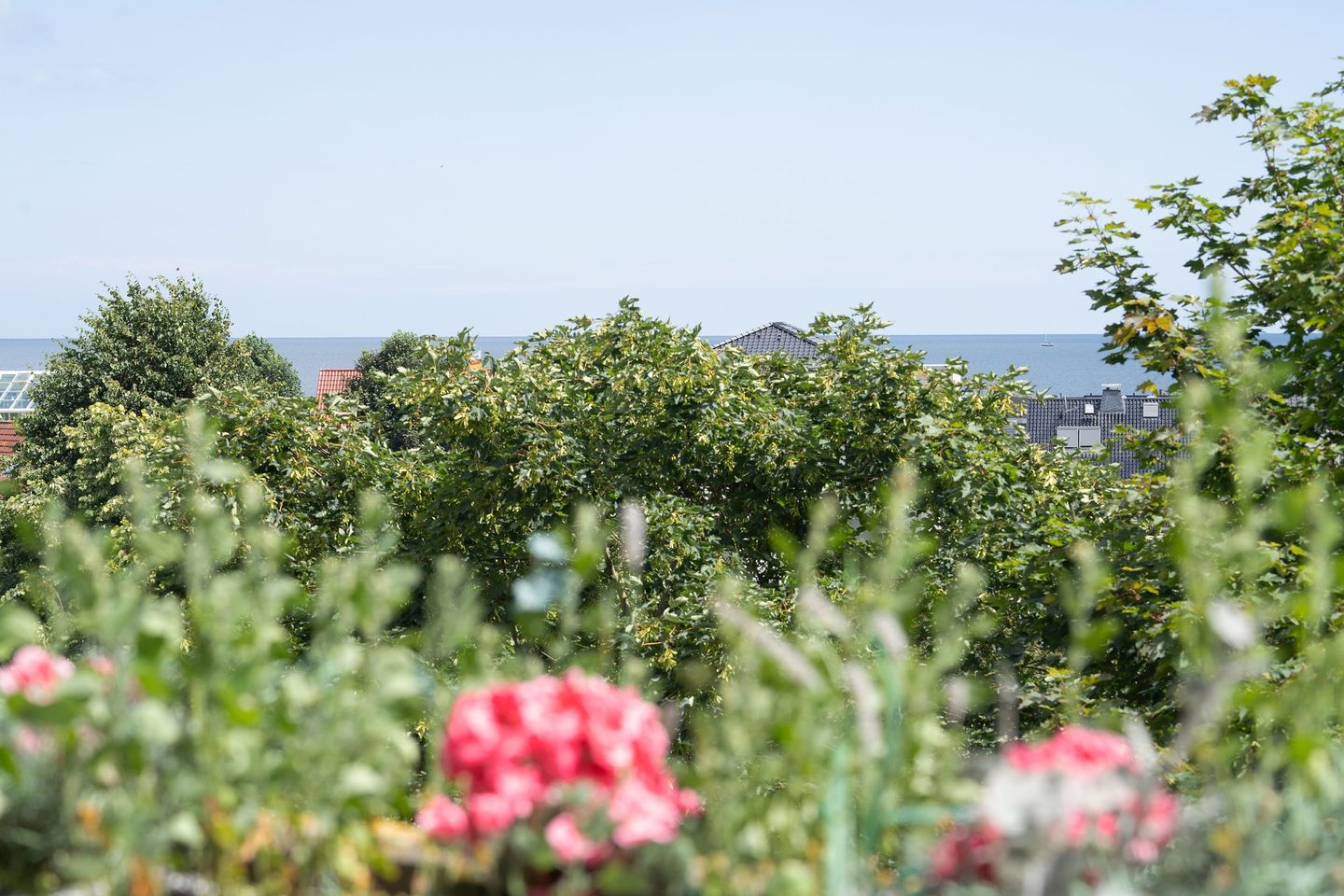  Berolina 314 - Meeresflüstern Dahme - Meerblick