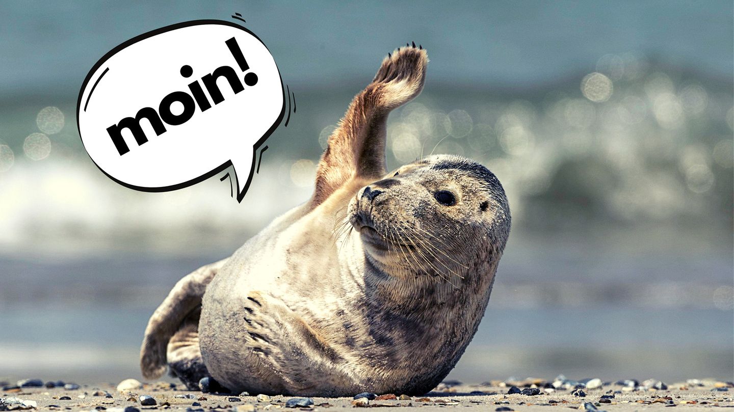 Ferienhaus "Otto's Hüs " Westerland - 