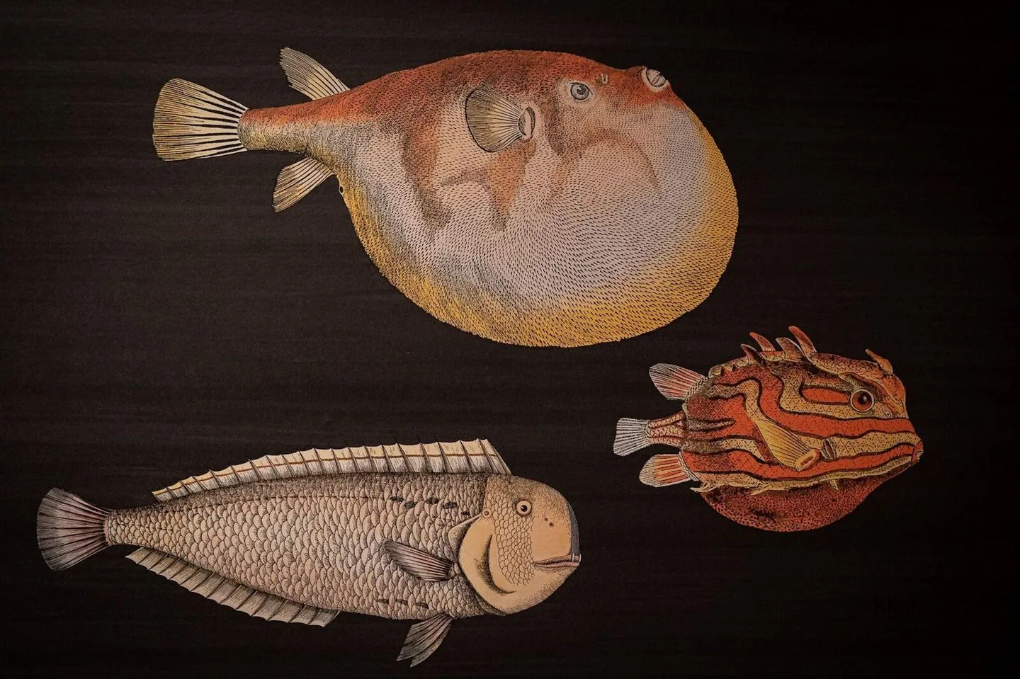 Reetdachhaus Reetperle Reetdachhaus Reetperle Ost SPO Dorf - 