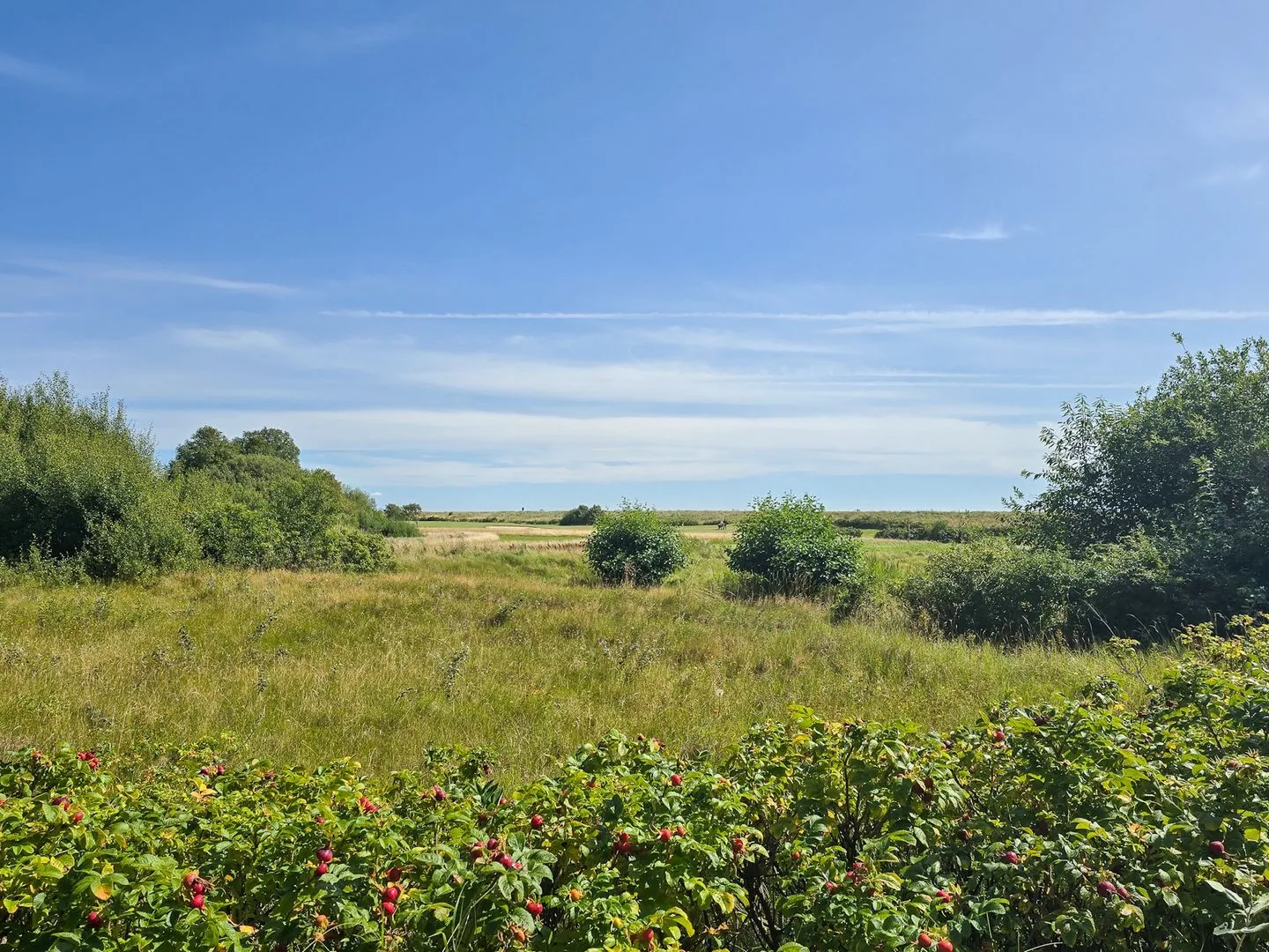 Böhler Küstenblick Böhler Küstenblick 3 SPO Boehl - 