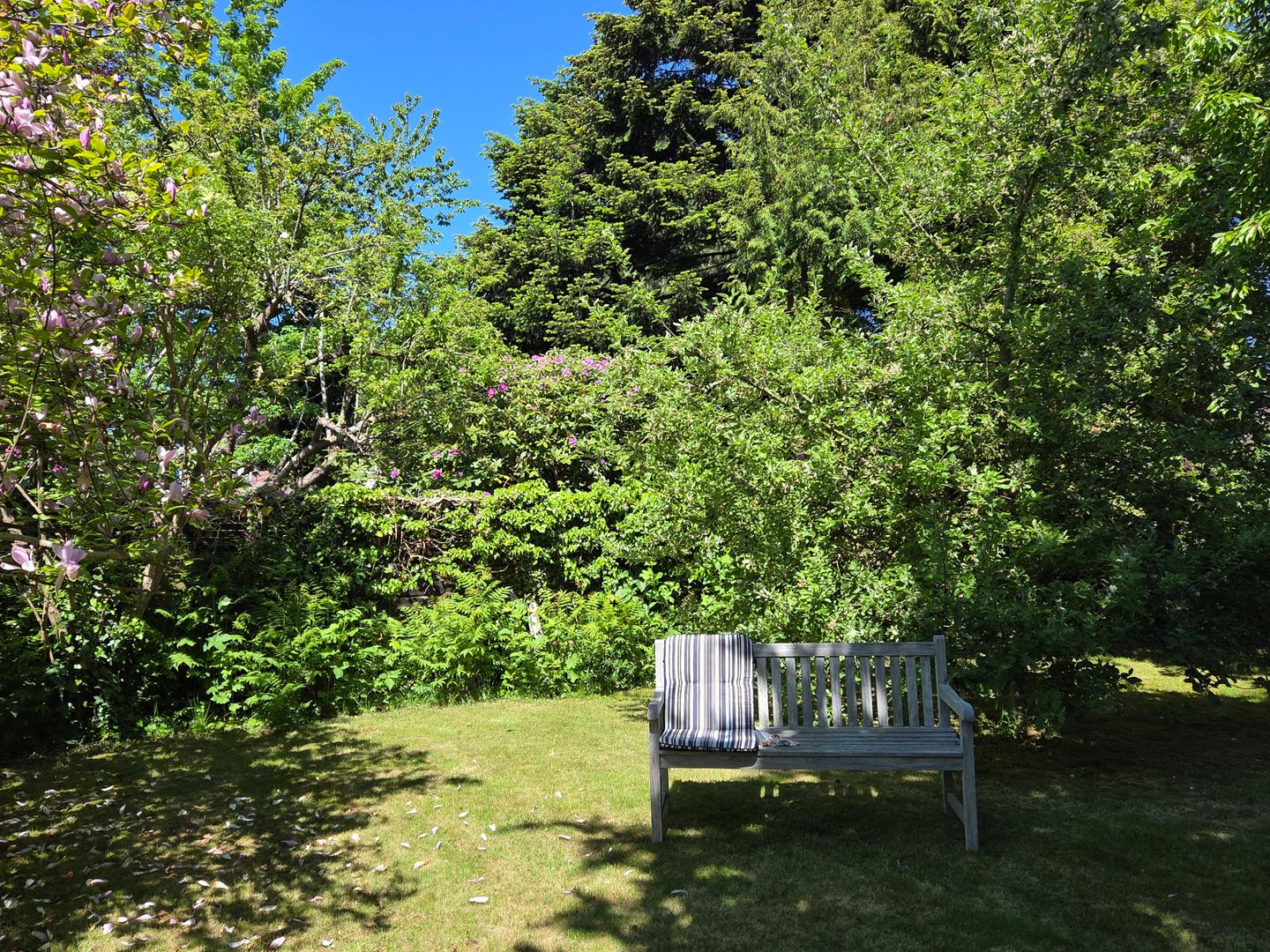  Stadtvilla Norden Norden - 