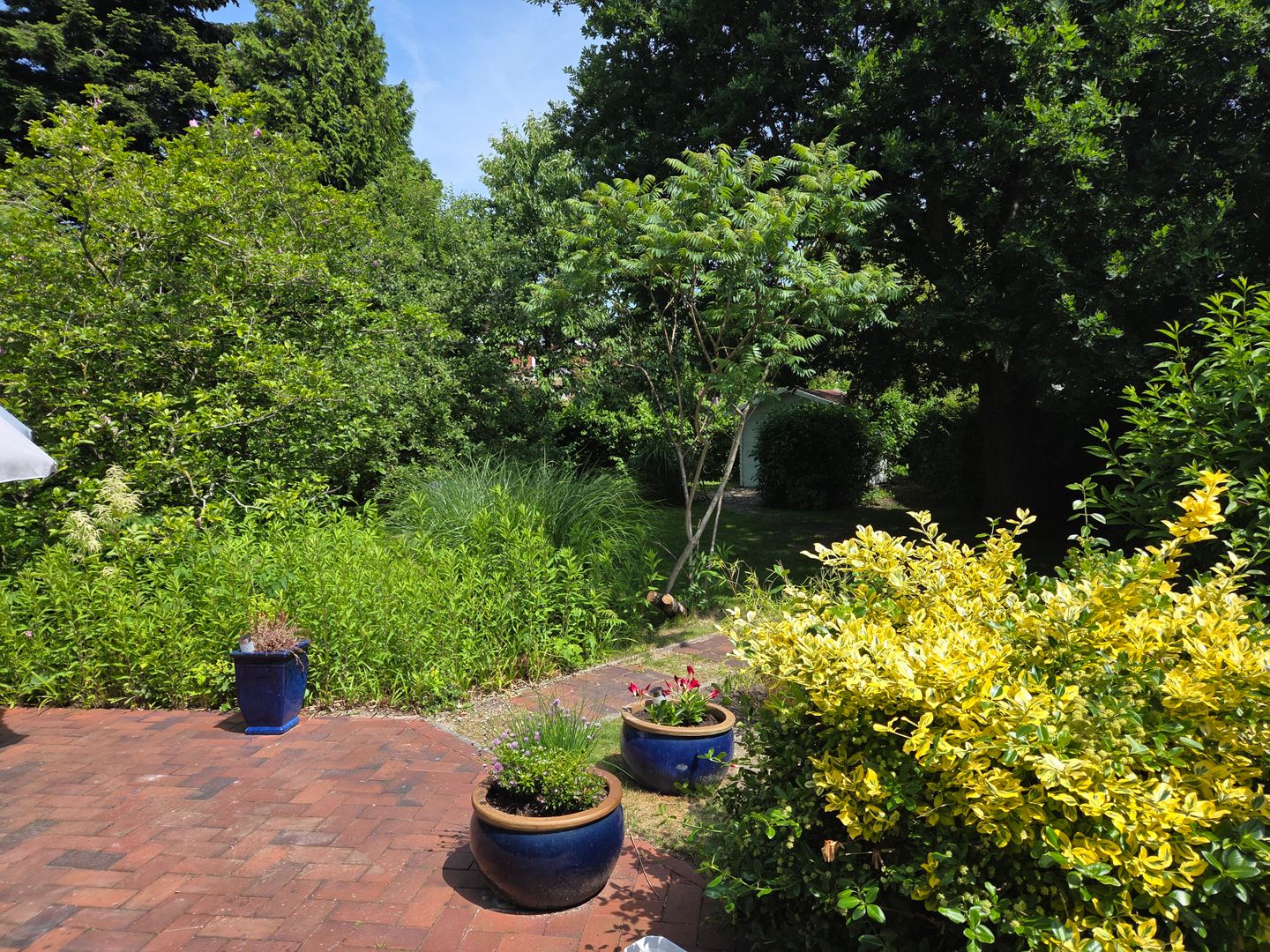  Stadtvilla Norden Norden - 