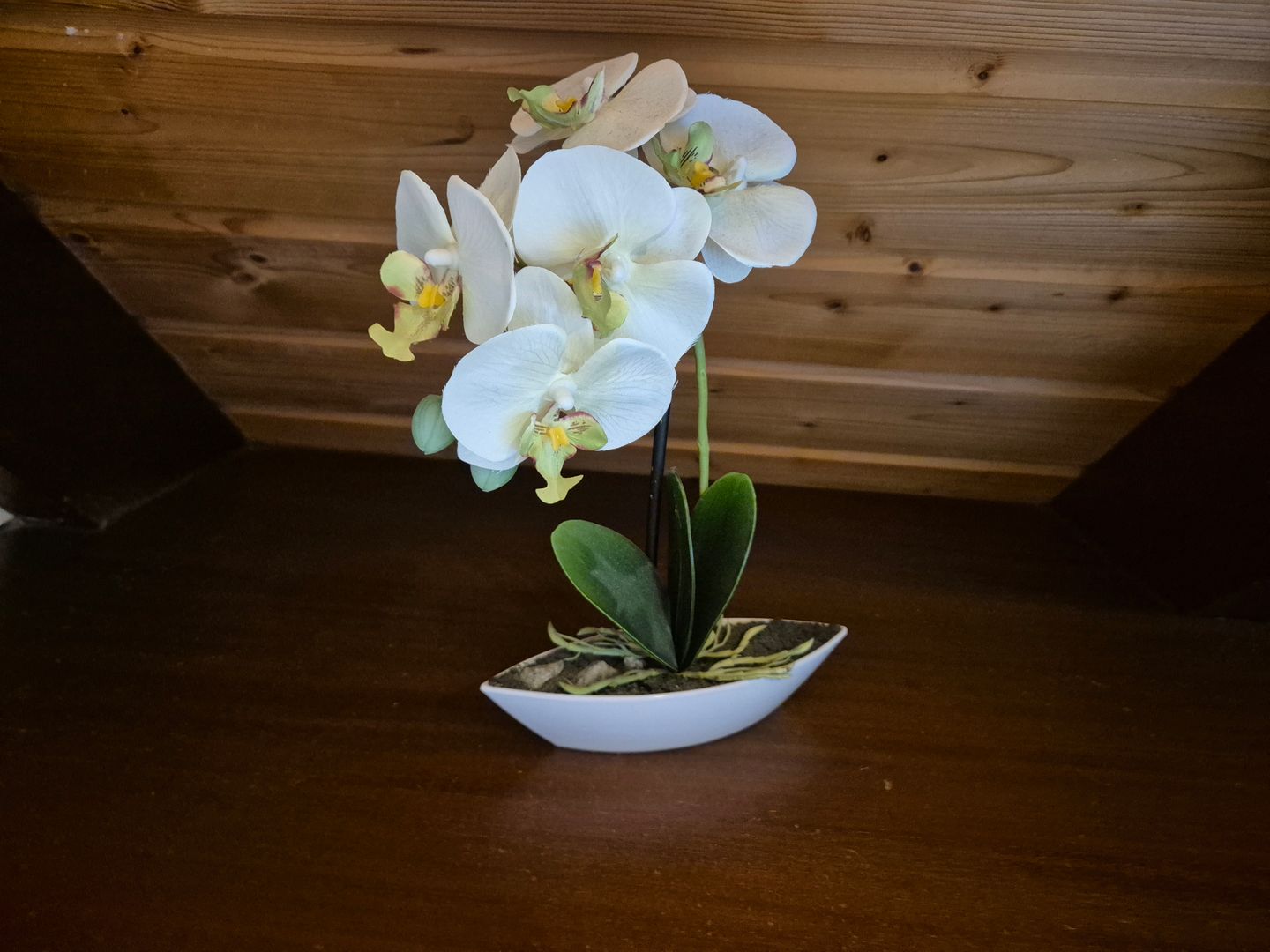  Haus Kinzigtal Molenstraße 27/5 Norddeich - 