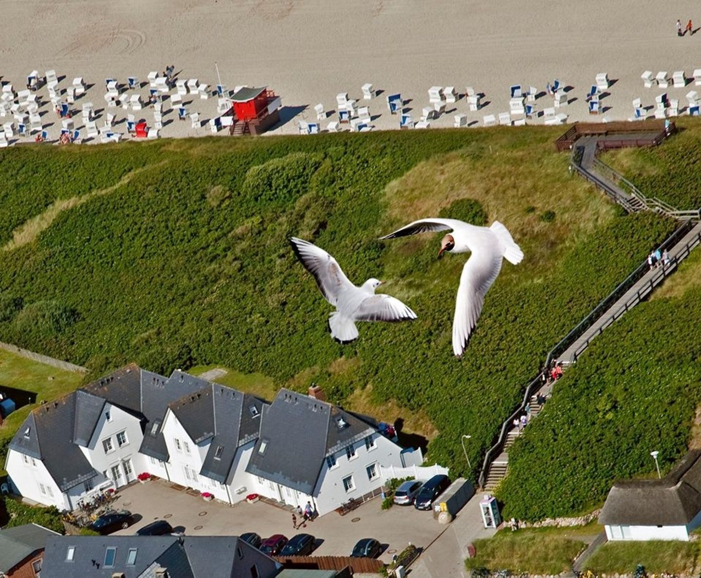  Sturmfried Nr. 10  B.-Bleeg-Str. 27 B Wenningstedt - 