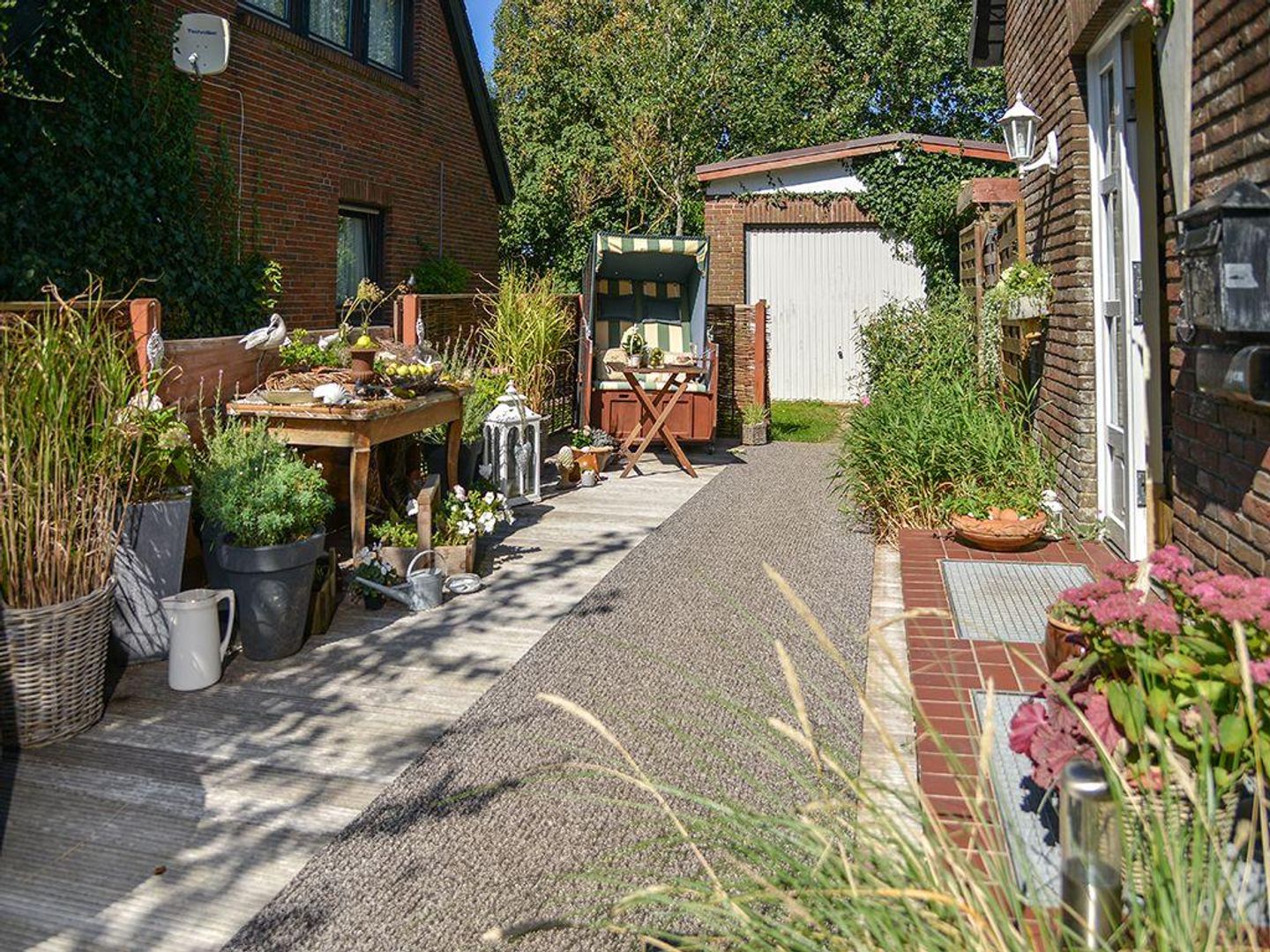  Dünenrose Tinnum Dünenrose - 