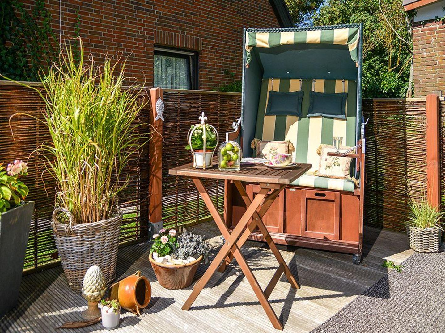  Dünenrose Tinnum Dünenrose - 