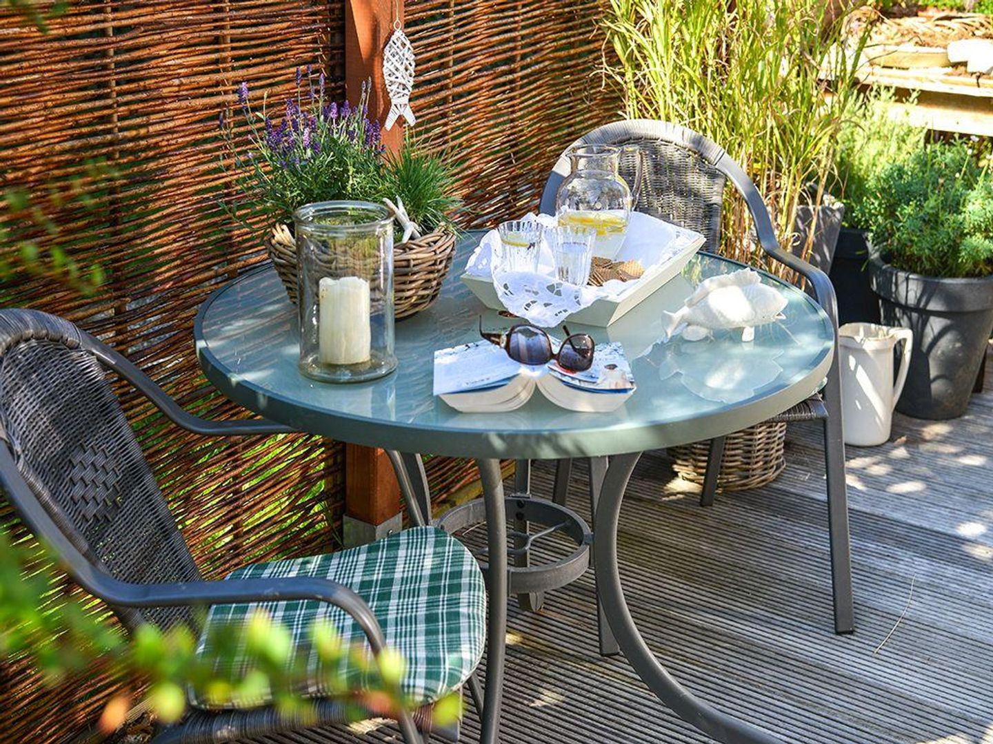  Dünenrose Tinnum Dünenrose - 