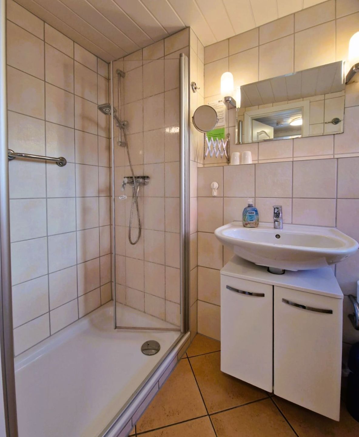  Hägerende "Alte Liebe" zfw/107 Mecklenburg-Vorpommern - 