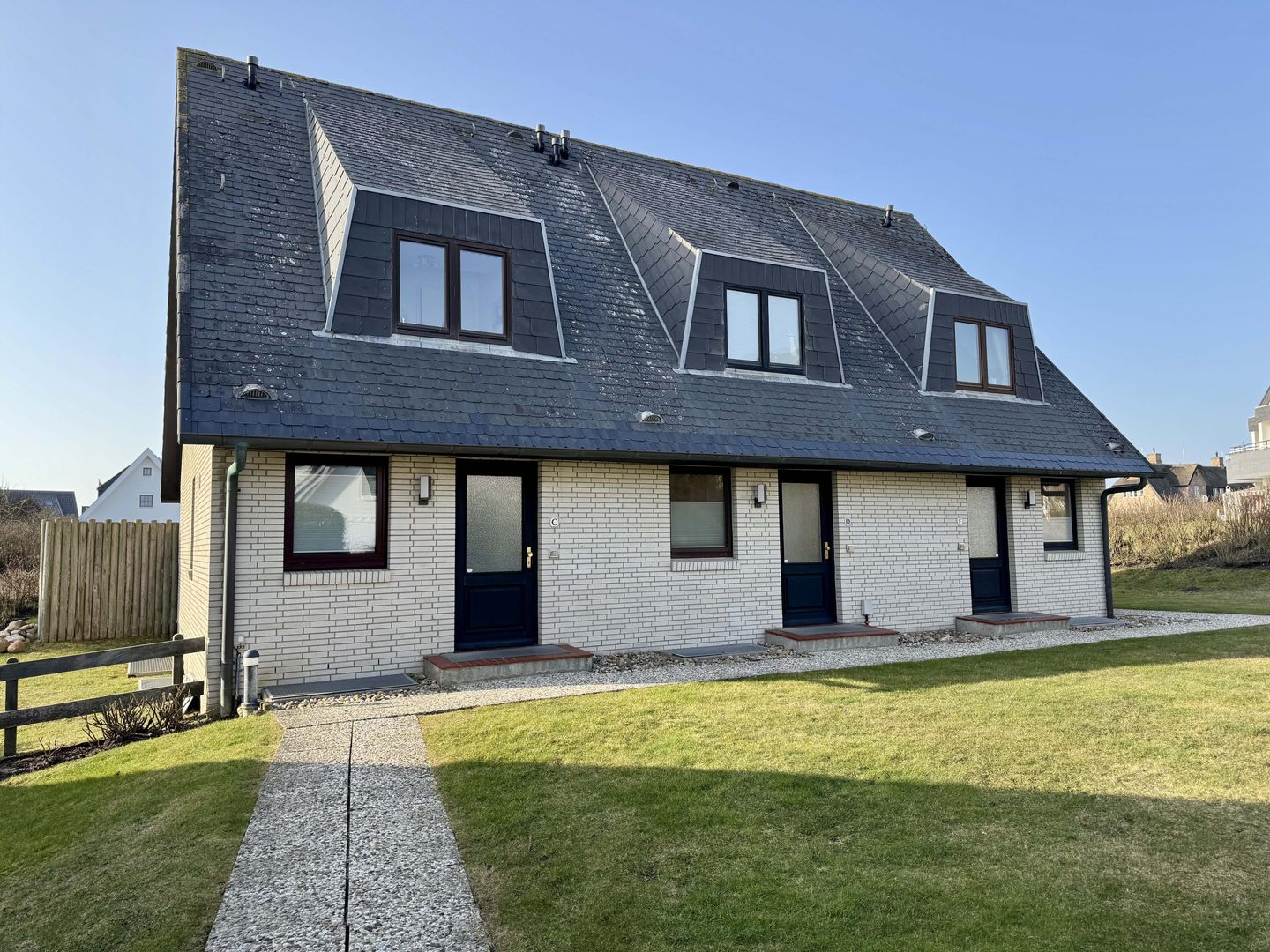  Lachmöwe Wenningstedt Lachmöwe - Hauptansicht