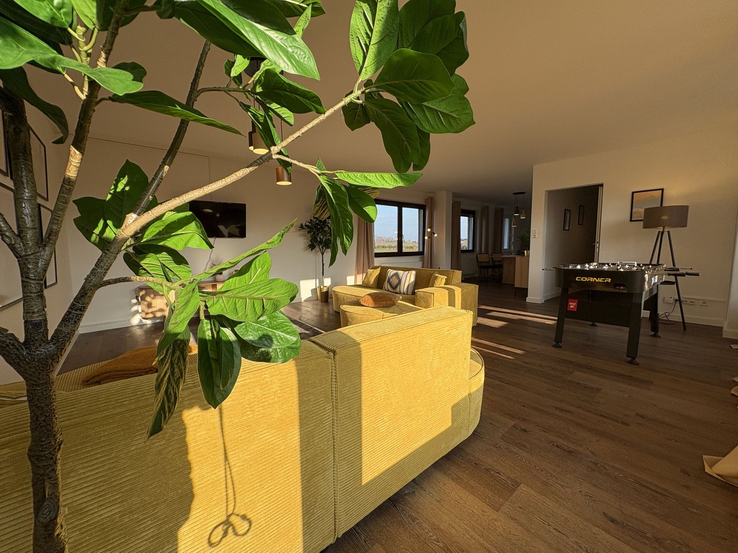  Stranddistel 3 Dahme - Wohnzimmer