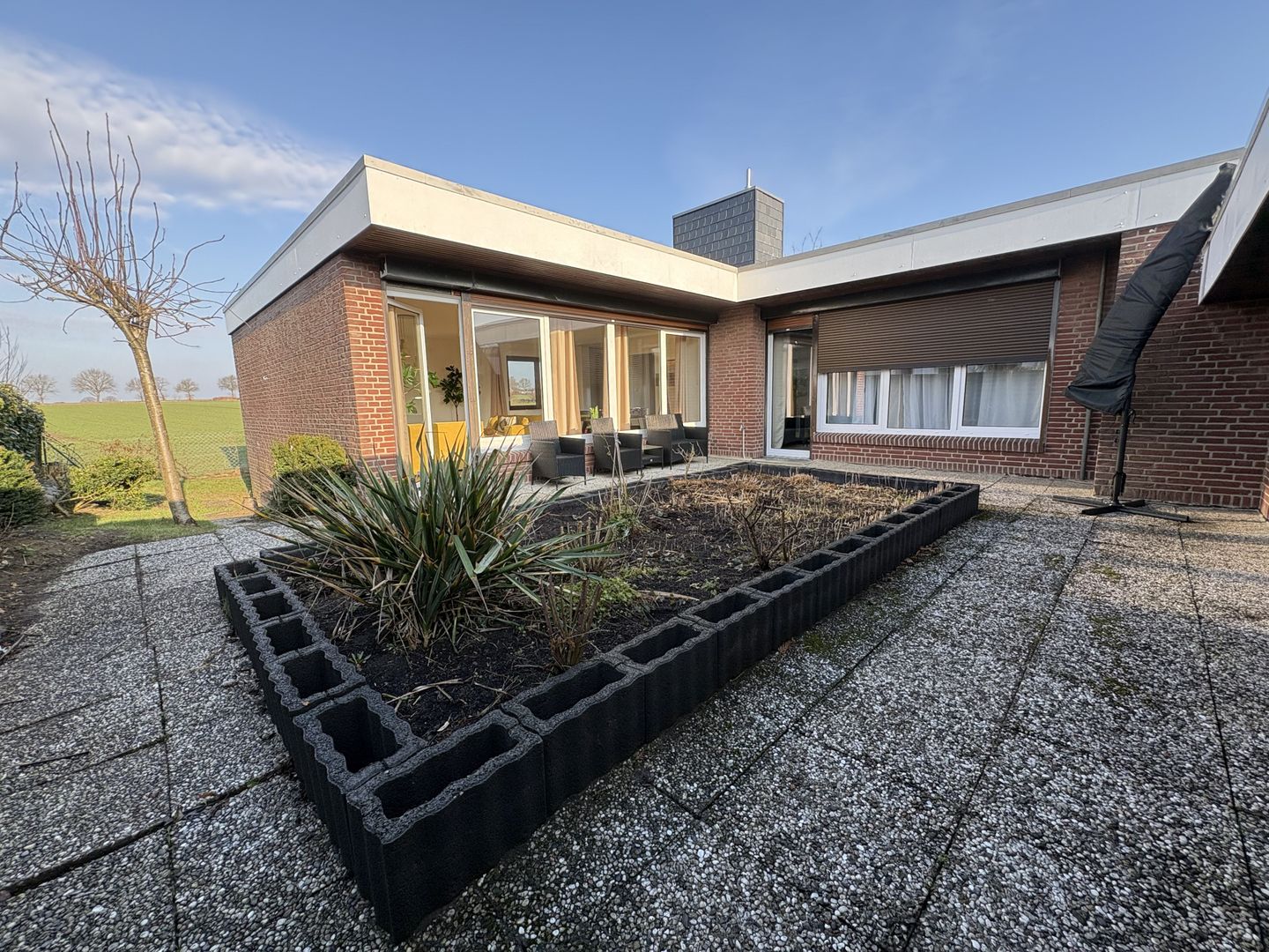  Stranddistel 3 Dahme - Gartenblick