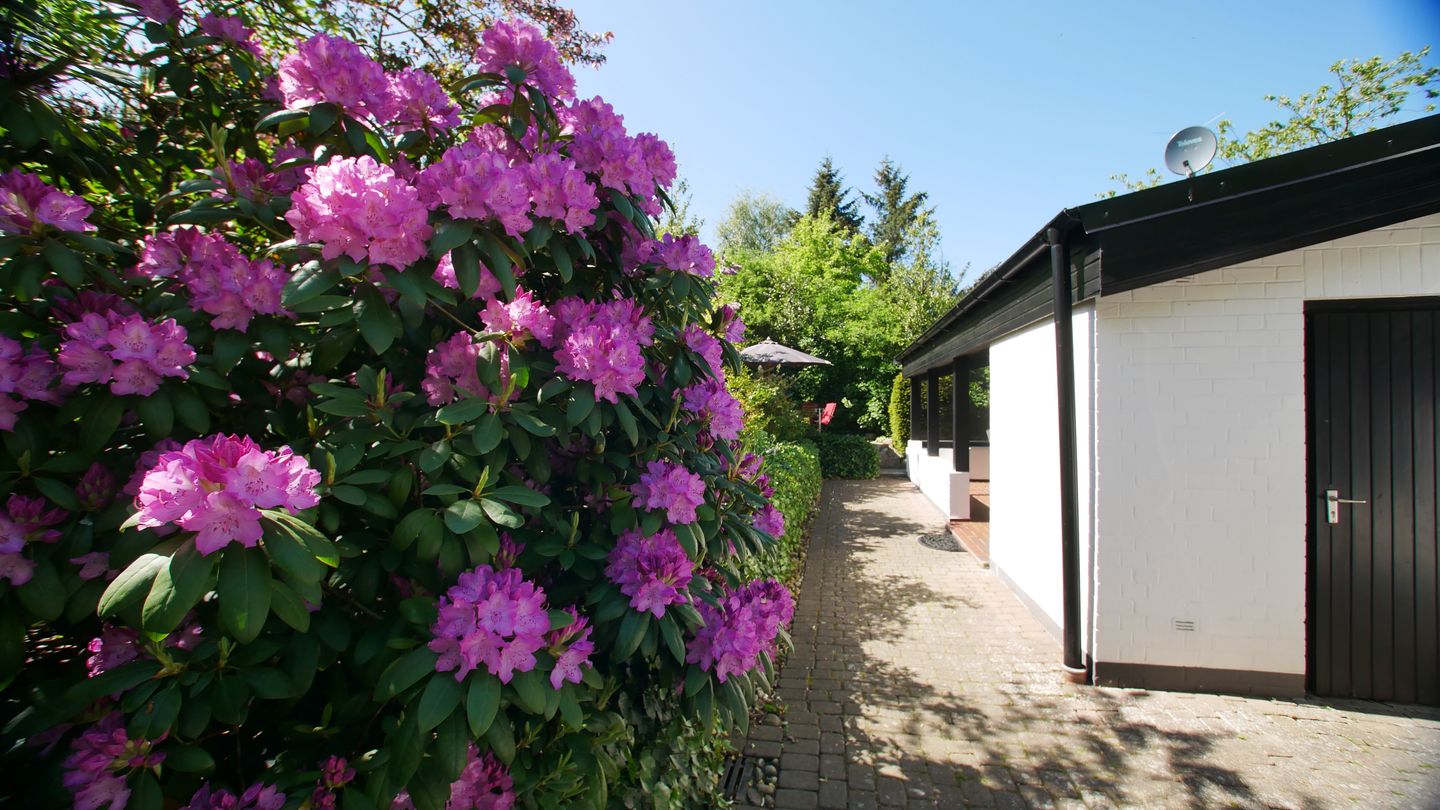  Ferienhaus Reidschott Wyk auf Föhr - Gartenblick