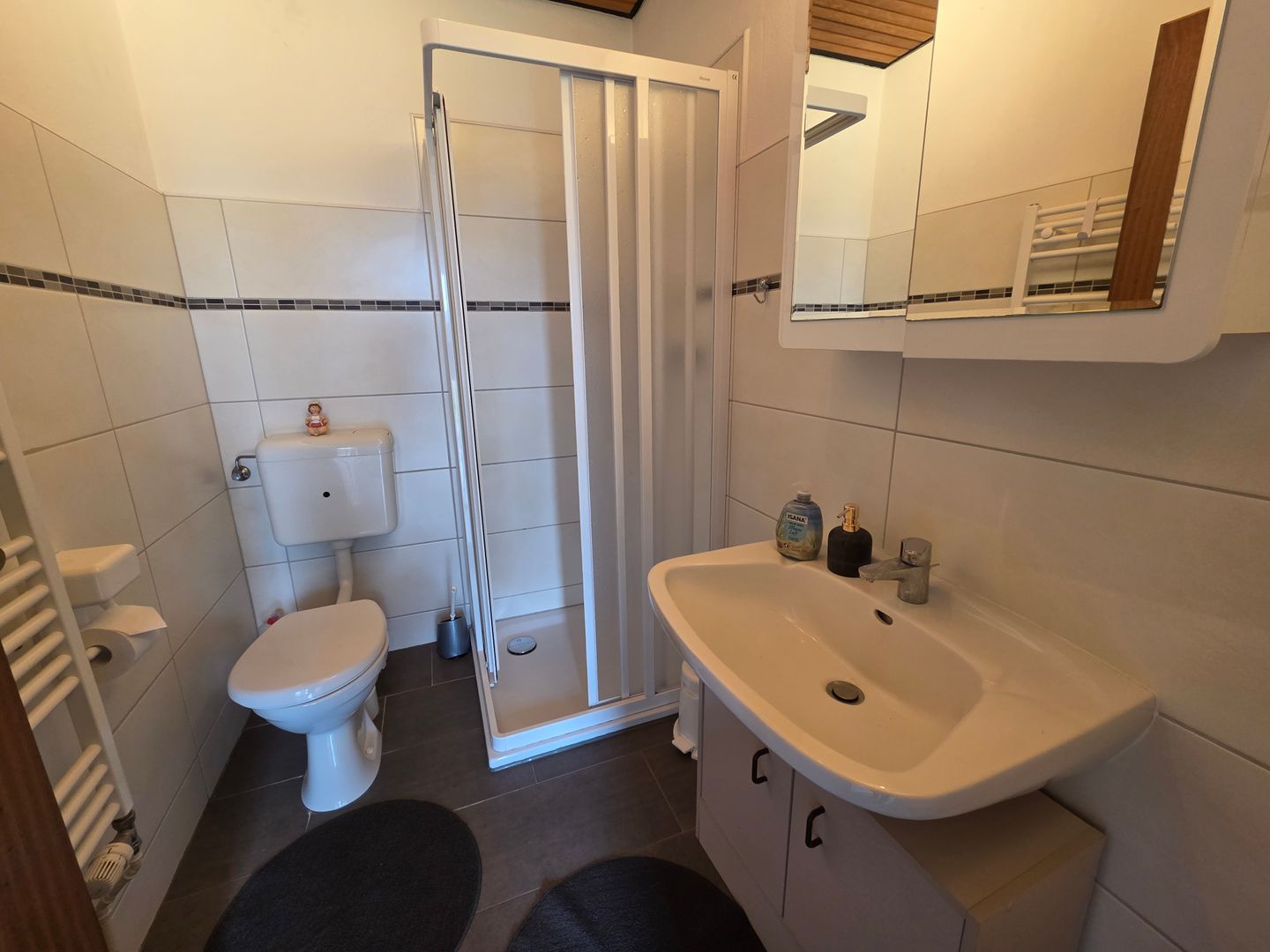 Haus Dorfschmiede Whg. Seehund Alkersum - Badezimmer