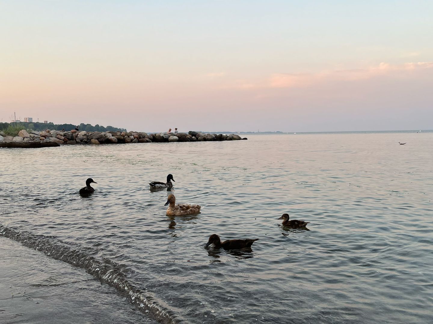  Aal/6EG - Haffkrug Haffkrug - Strand