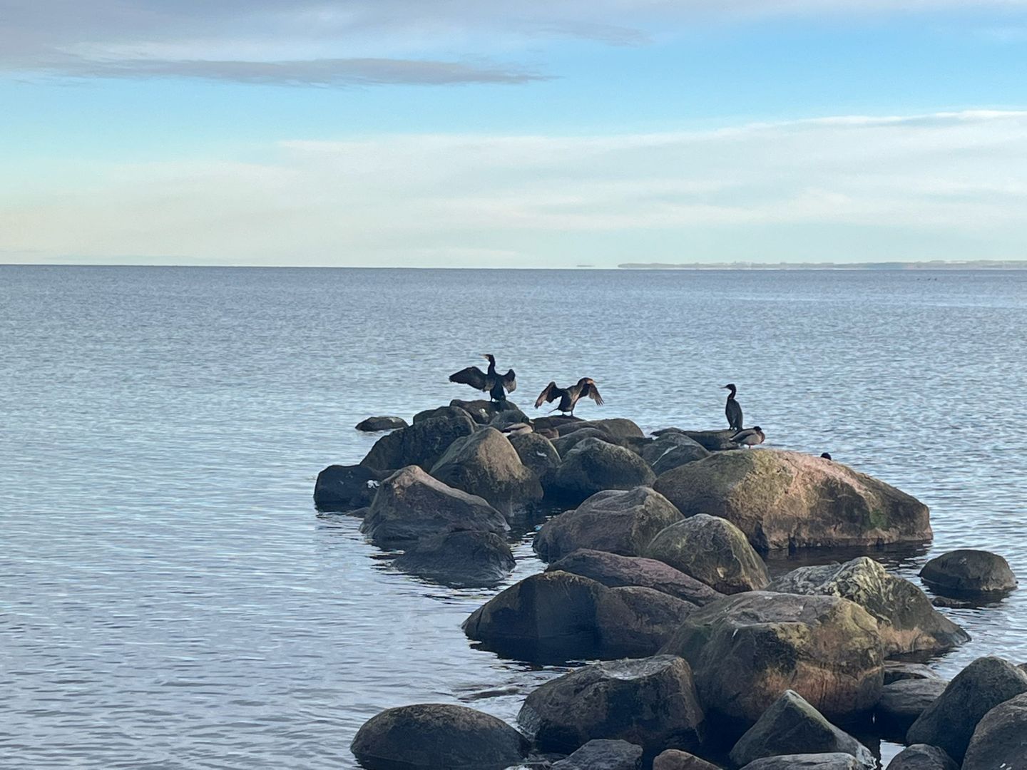  Aal/6EG - Haffkrug Haffkrug - Strand