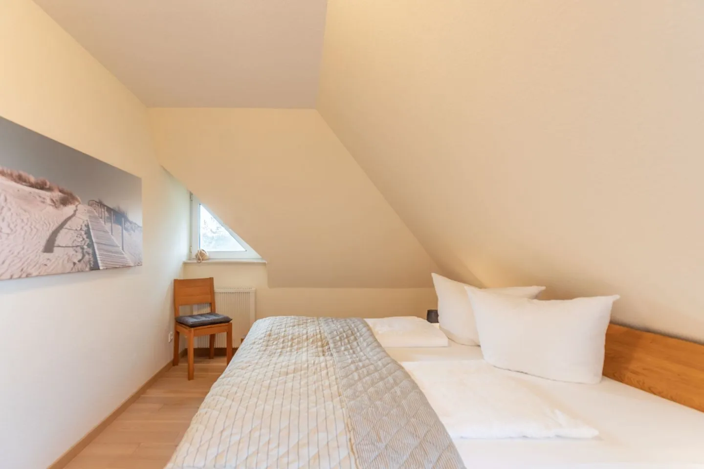 Meeresleuchten Meeresleuchten SPO Ording - 