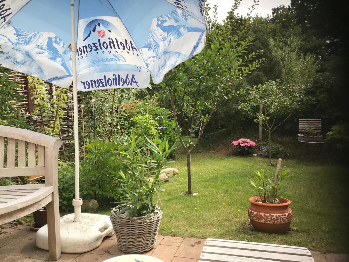 App. Rosenblüte Westerland - 