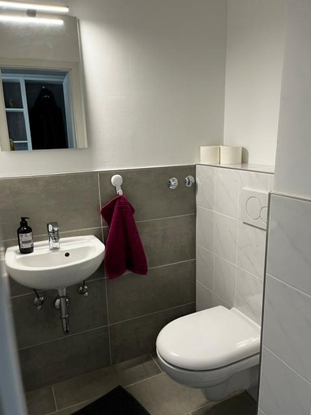 Ferienpark Hahnenklee Apartment "Bergblick" Hahnenklee - Gäste-WC