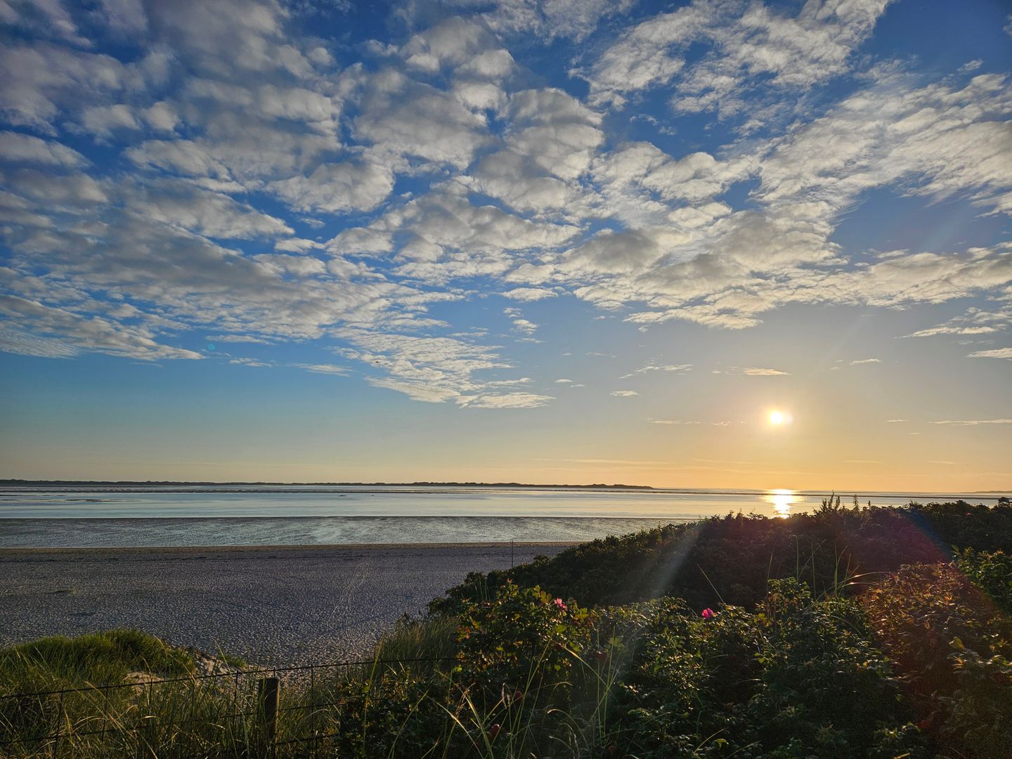  Schwalbennest Wyk auf Föhr - Strand