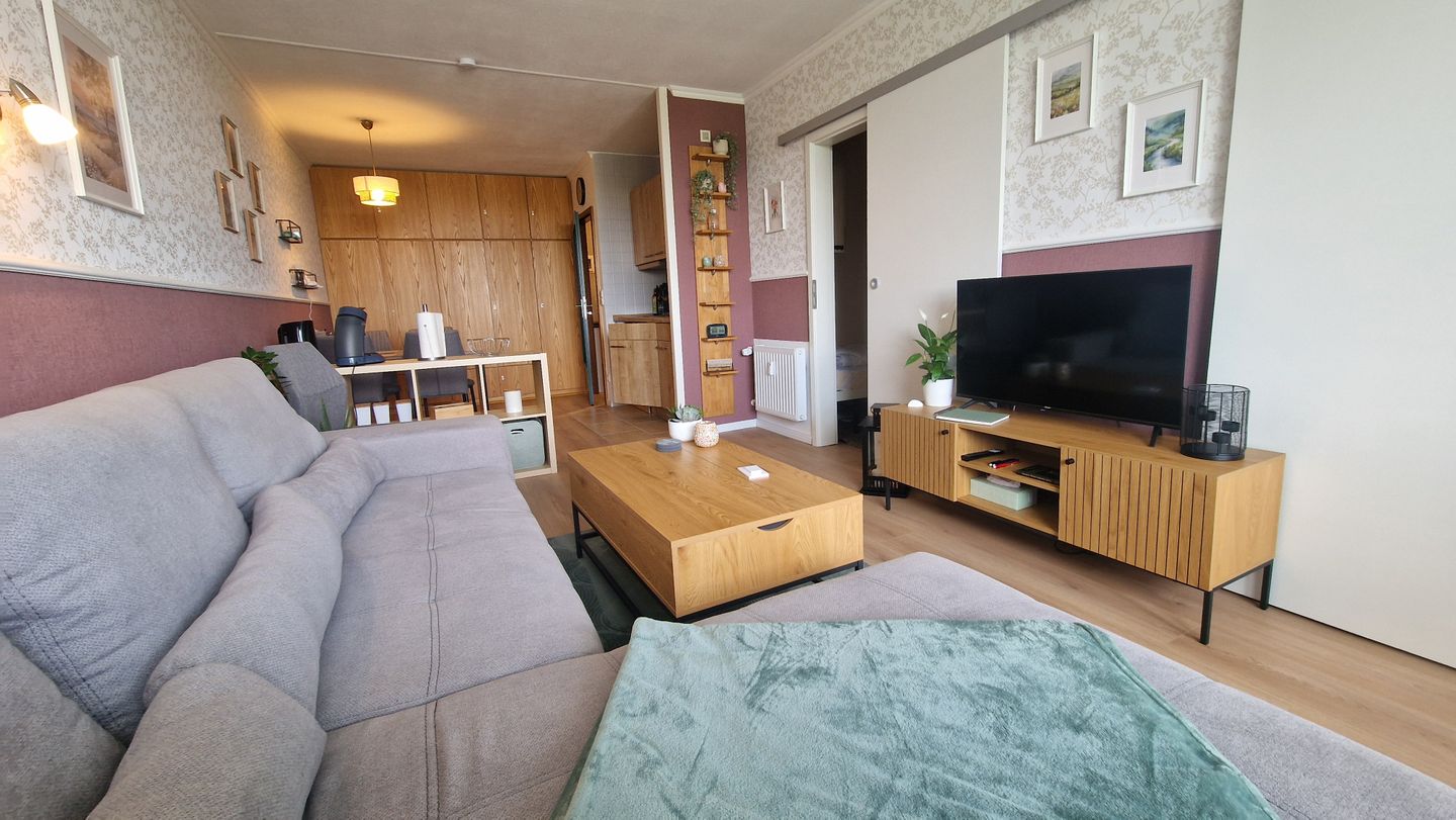 Ferienpark Hahnenklee Apartment "HarzHub Hahnenklee" Hahnenklee - Offener Wohnraum mit Küchenzeile