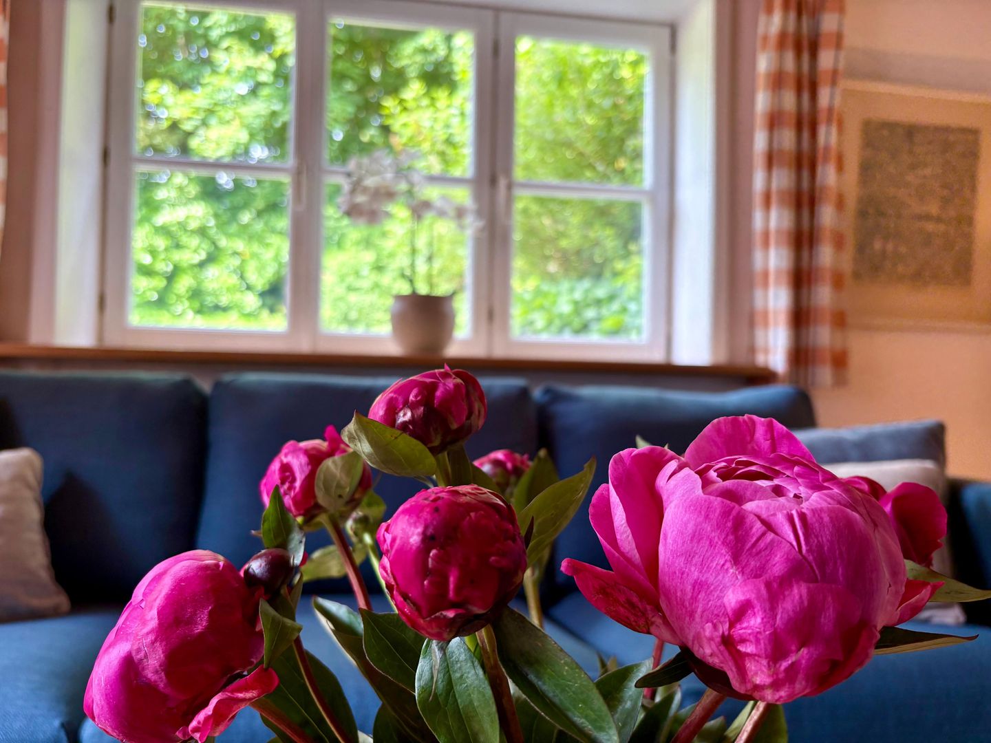  Haus Ahrens Wenningstedt-Braderup - Wohnzimmer